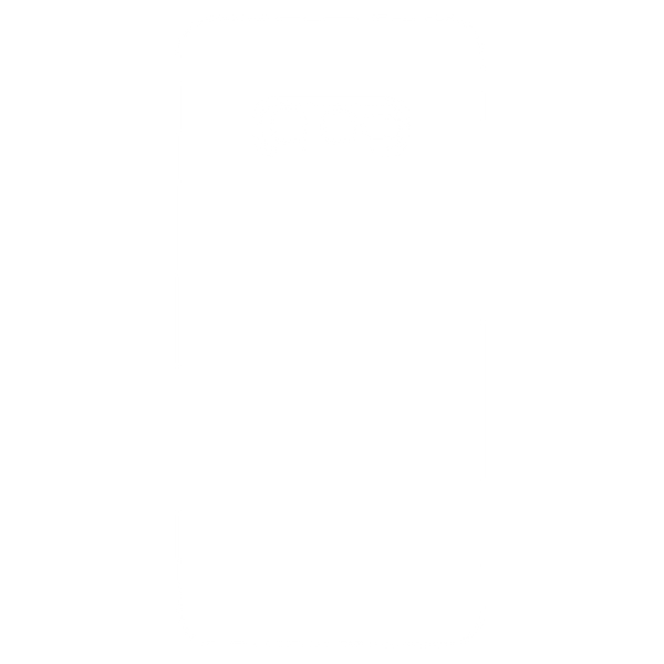 Samsung Galaxy S10 E