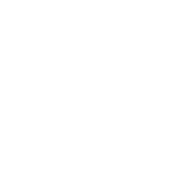 V2 Google PIxel 3 XL