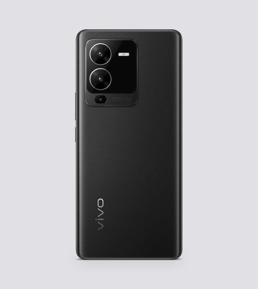 Vivo vivo